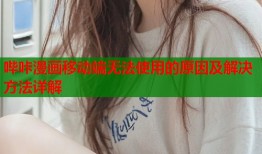 哔咔漫画移动端无法使用的原因及解决方法详解