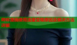 哔咔漫画使用流量受限原因及解决方法详解
