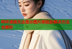 哔咔漫画无法显示图片原因及解决方法全解析