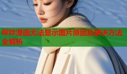 哔咔漫画无法显示图片原因及解决方法全解析