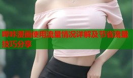 哔咔漫画使用流量情况详解及节省流量技巧分享