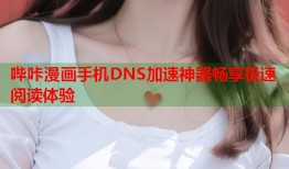 哔咔漫画手机DNS加速神器畅享极速阅读体验