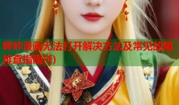 哔咔漫画无法打开解决方法及常见故障排查指南(1)