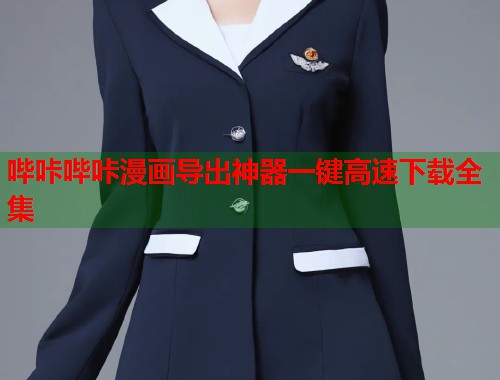 哔咔哔咔漫画导出神器一键高速下载全集