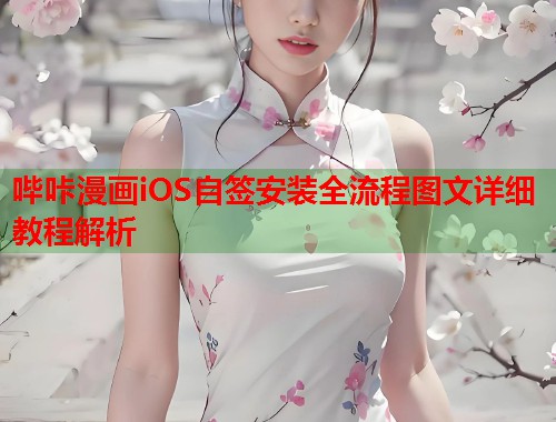 哔咔漫画iOS自签安装全流程图文详细教程解析