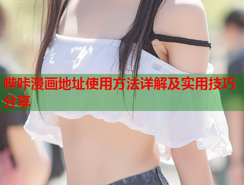 哔咔漫画地址使用方法详解及实用技巧分享