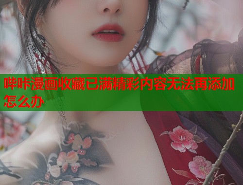 哔咔漫画收藏已满精彩内容无法再添加怎么办