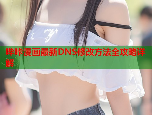 哔咔漫画最新DNS修改方法全攻略详解